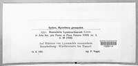 Image Associated With the Occurence